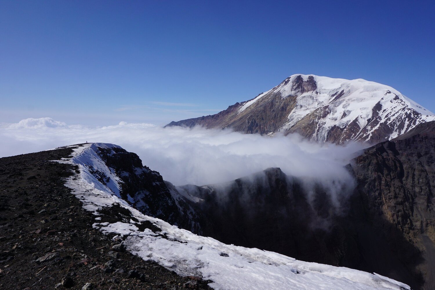 Photo #3982537