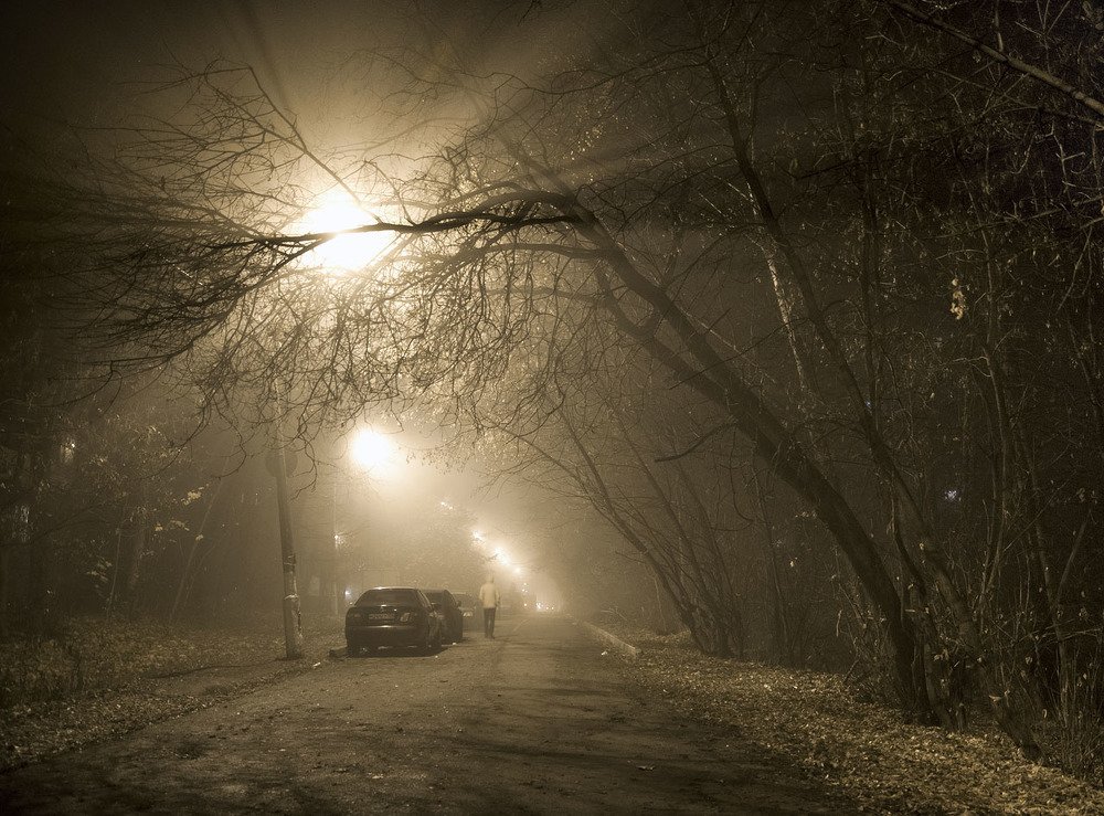 Photograph by Павел