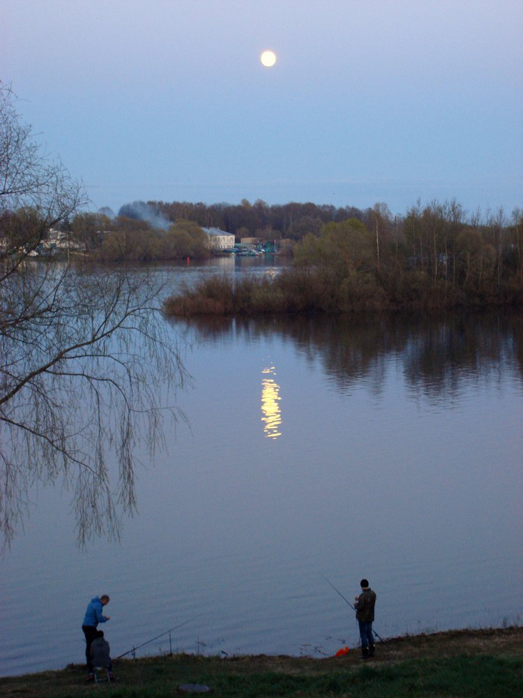 Photo #3982559