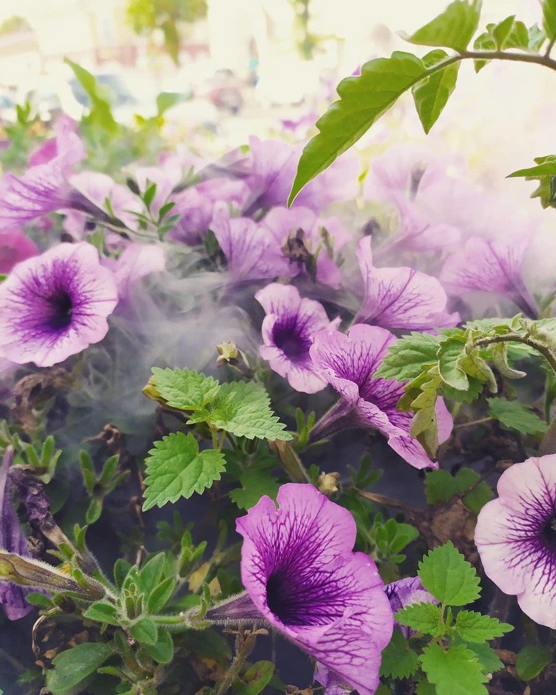 Photograph by Дарья Молодцова