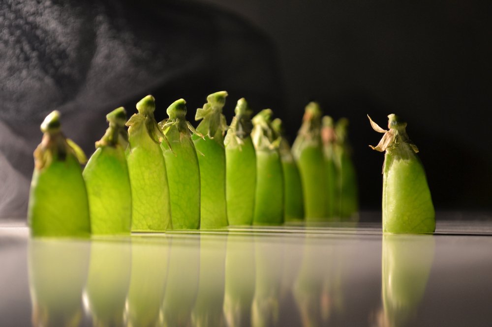 Photograph by Татьяна Золотарева