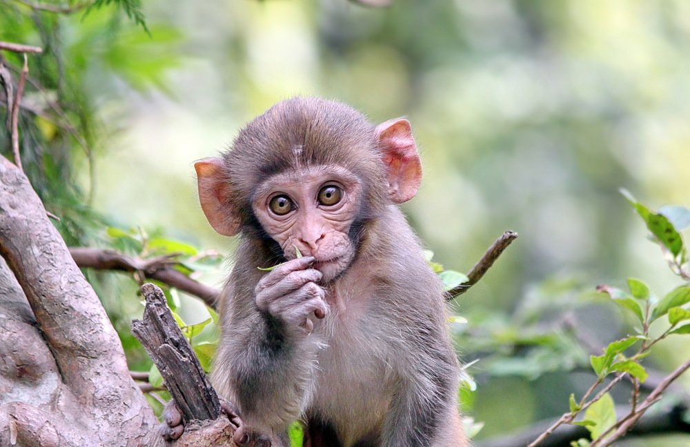 Photograph by Александр Столяров