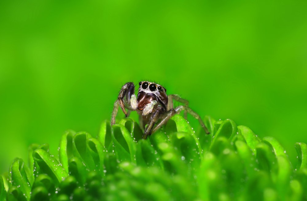 Фотография автора Dolli Pogrebnaya