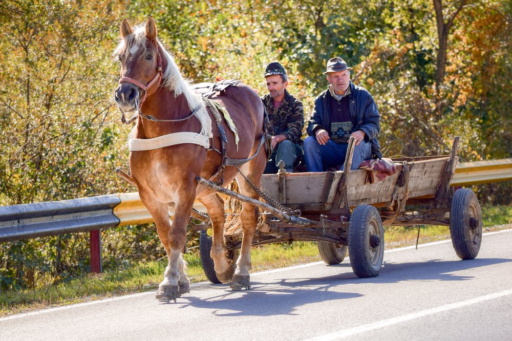 Photograph by Marian Badaluta