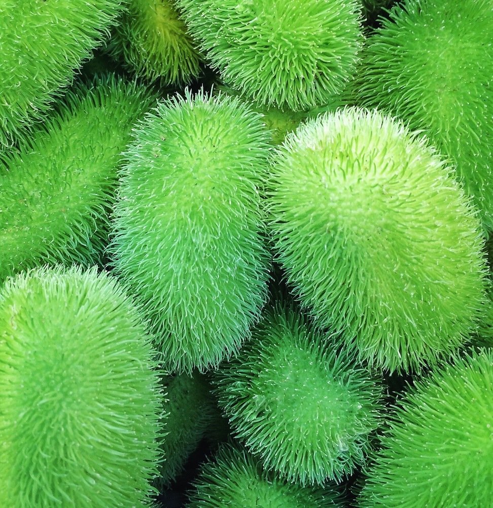 Photograph by Наталья Мальцева