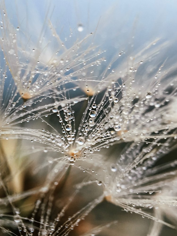 Photograph by Наталья Мальцева