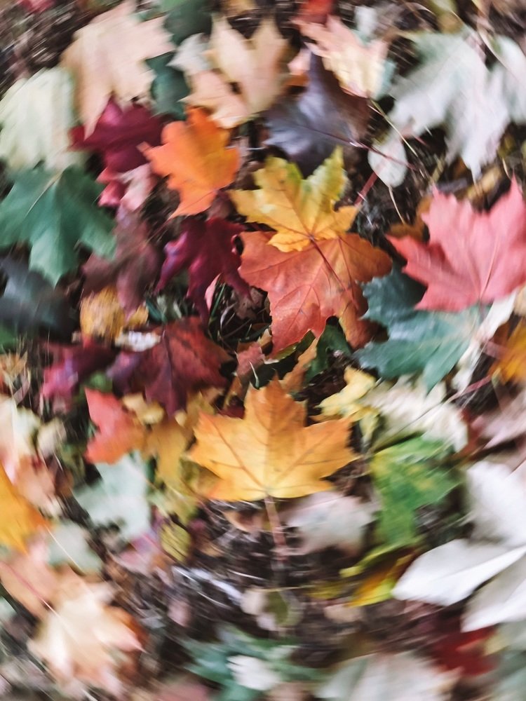 Photograph by Наталья Мальцева