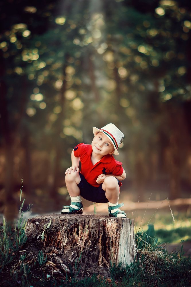 Фотография автора Алёна Васильева