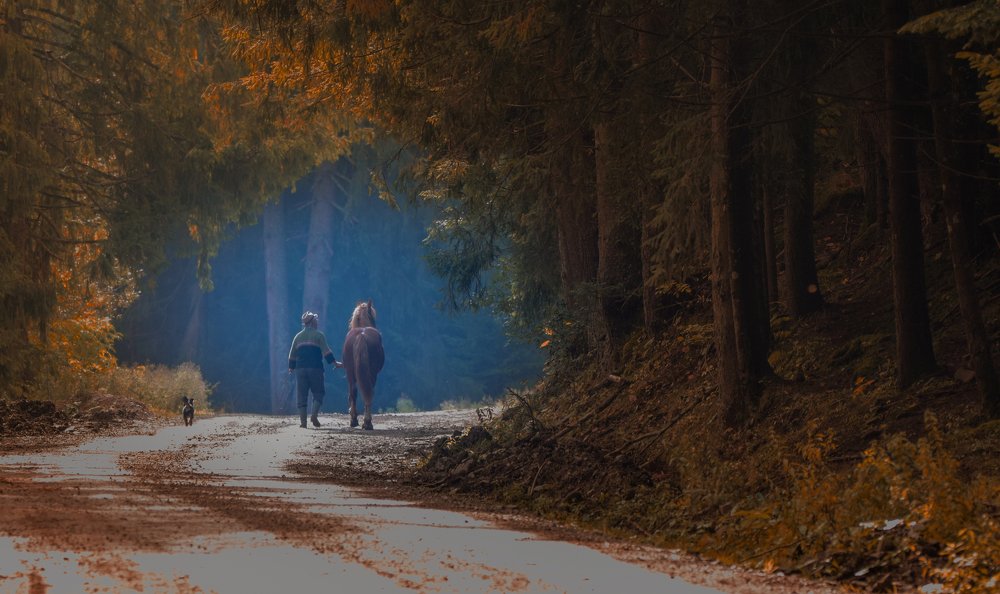 Photograph by Marian Badaluta