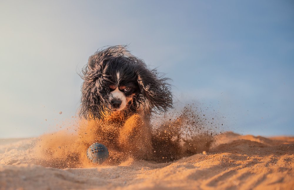 Photograph by Alena Trojanovičová