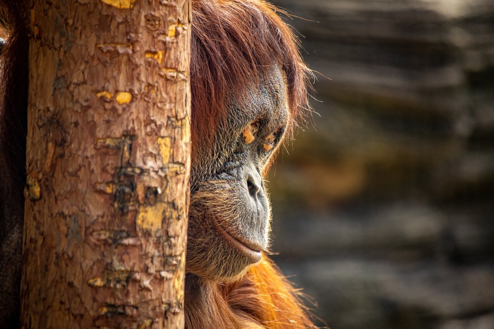 Photograph by Andrey Matveenko