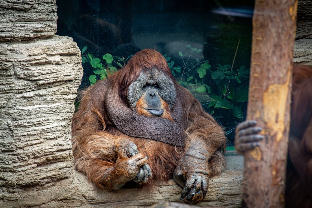 Photograph by Andrey Matveenko