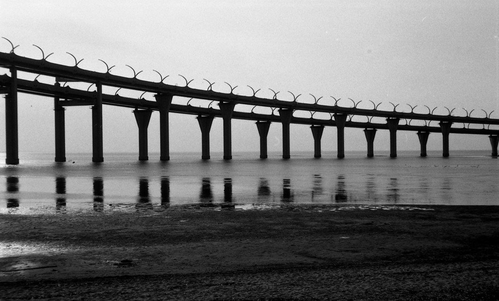 Photograph by София Егорова