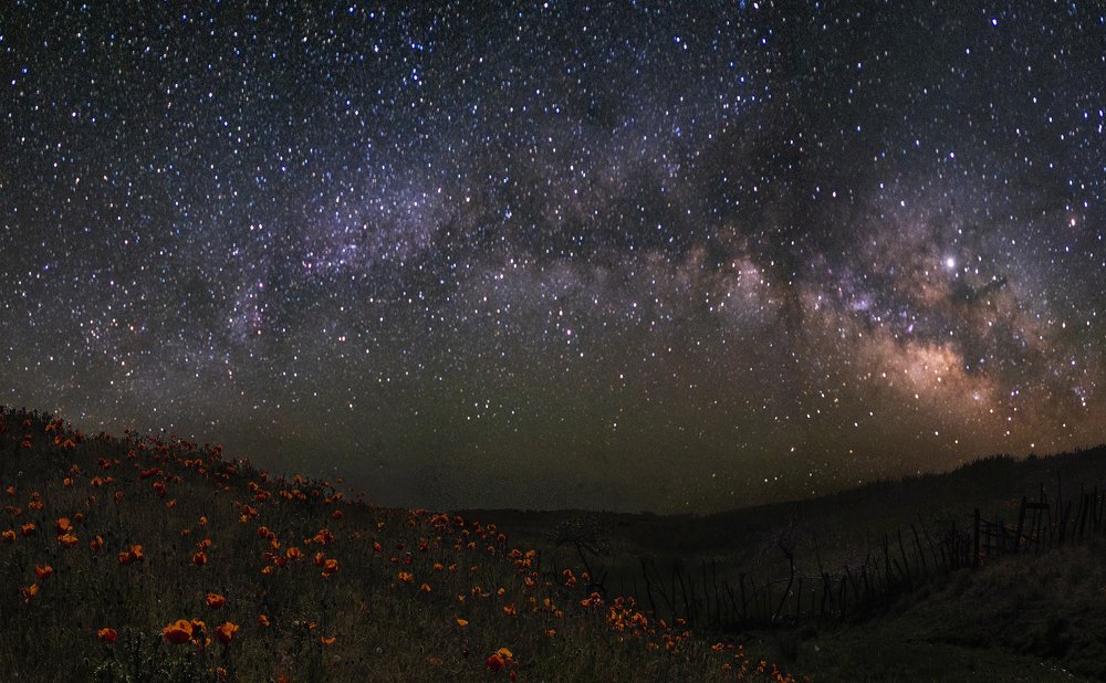 Photograph by Shahriar Dabiri