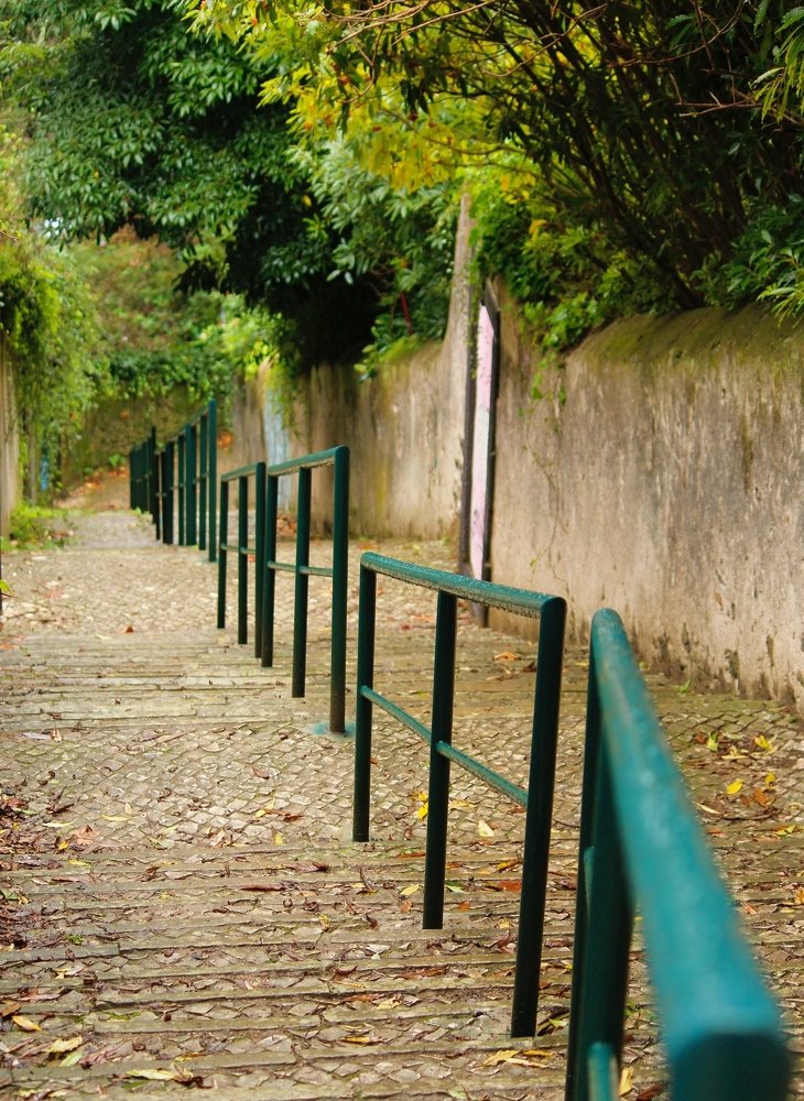 Photograph by Paulo Viegas