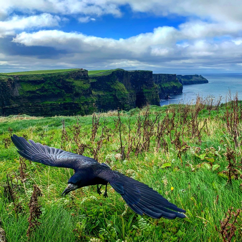 Photograph by Paulo Siqueira