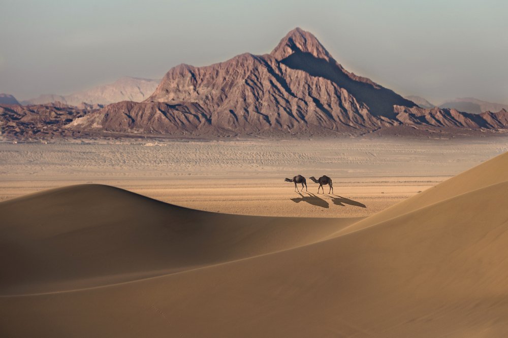 Photograph by Shahriar Dabiri