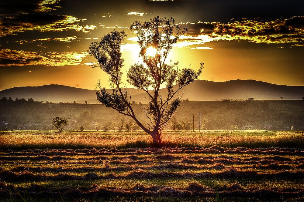 Photograph by Szilveszter Zoltan