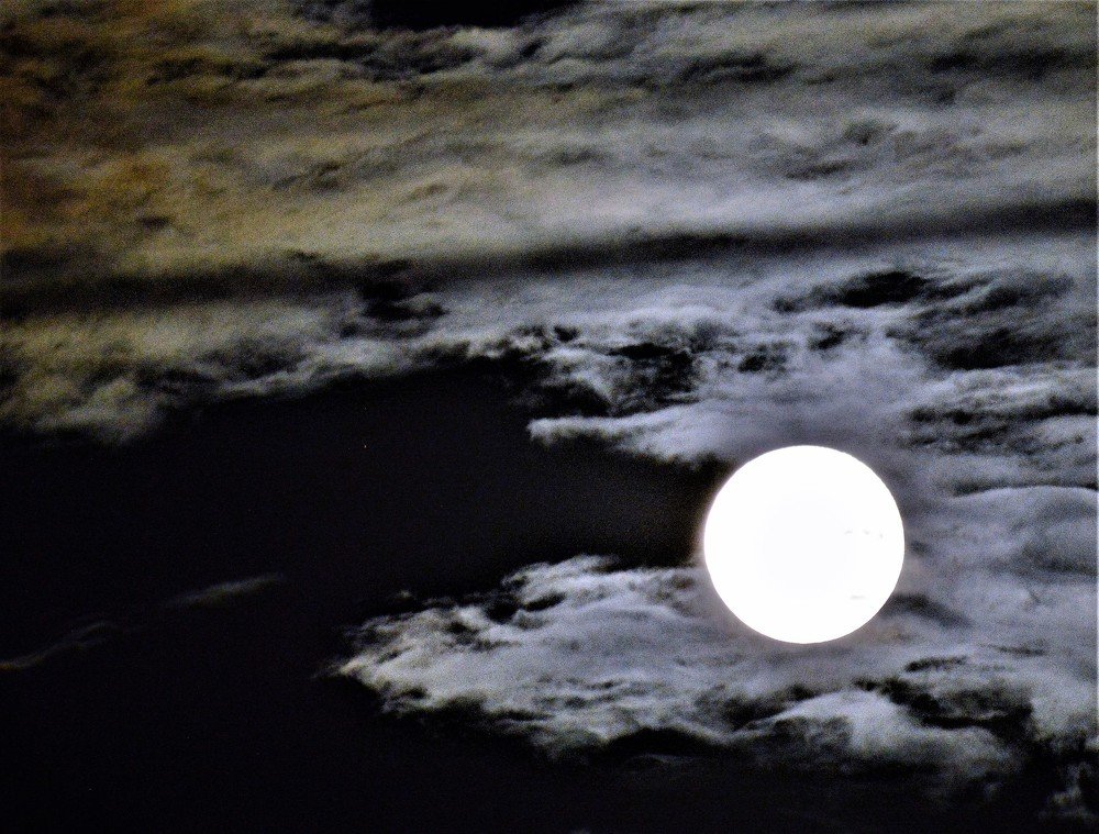 Photograph by Rosângela Verdi