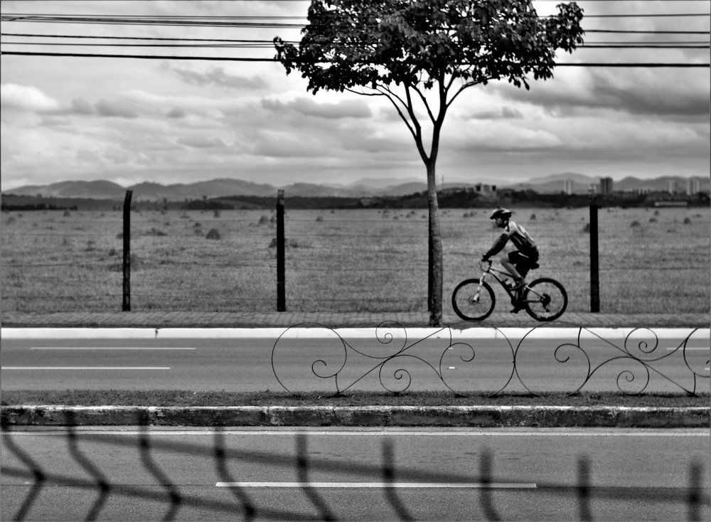 Photograph by Rosângela Verdi