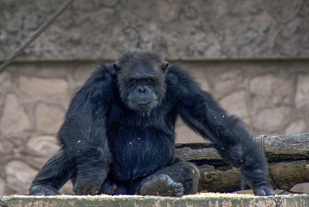 I do not belong  here