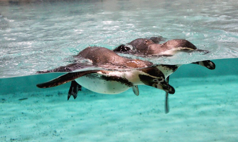 Photograph by Ольга Гаврикова