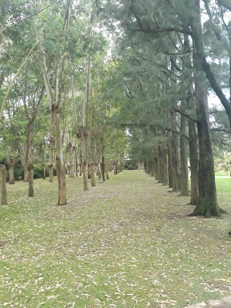 Photograph by Aquino