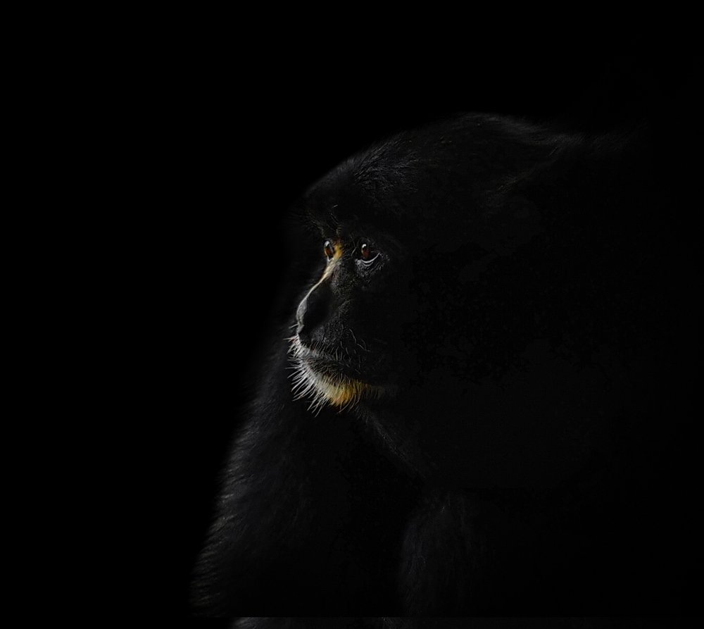 Photograph by Endra Agust