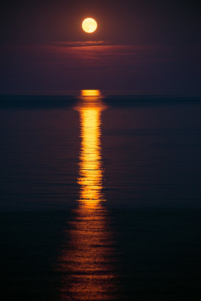 Лунная дорожка