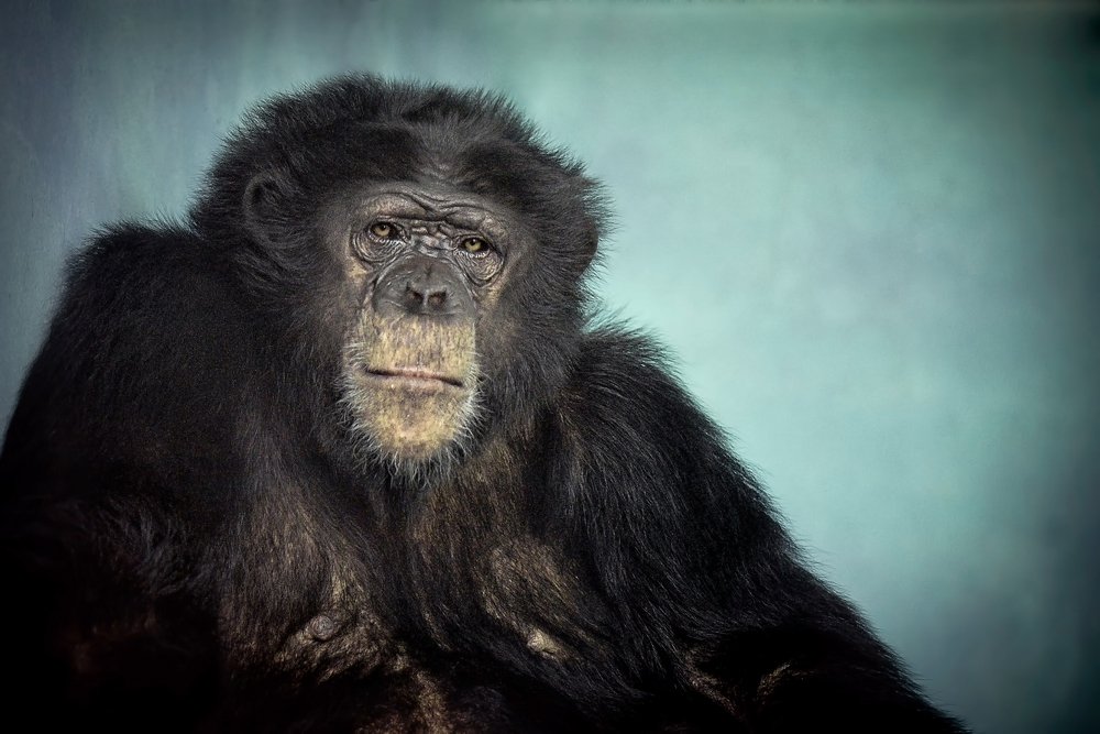 Photograph by Валерий Коновалов