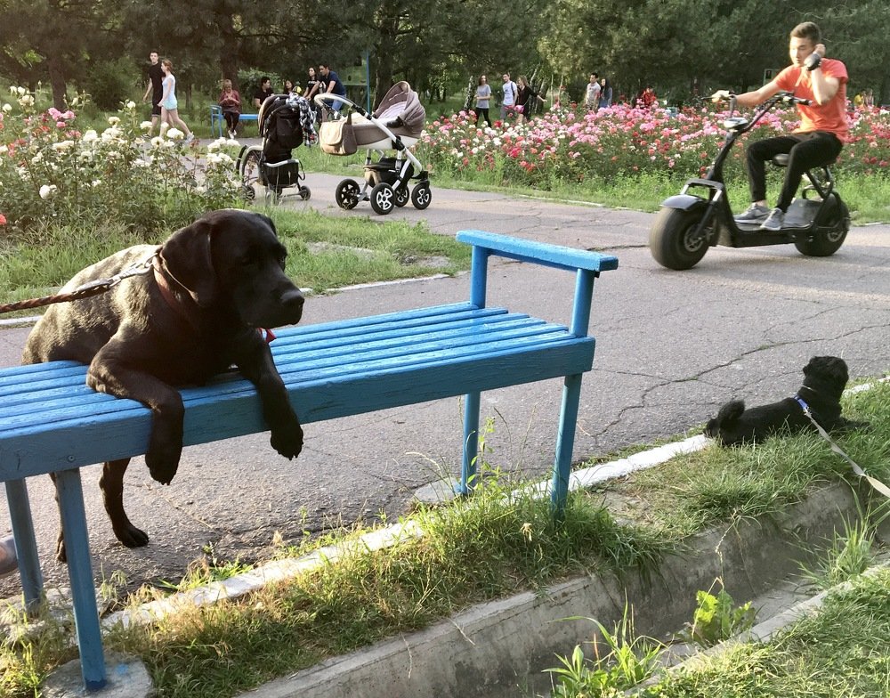 Photograph by Елена Ким