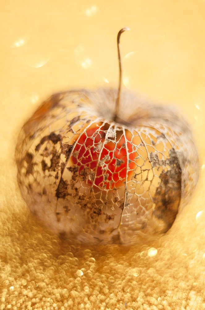 Photograph by Олеся