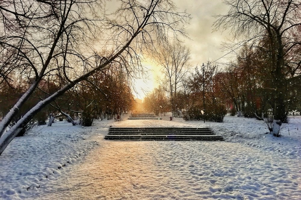 Photograph by Алексей Антонов