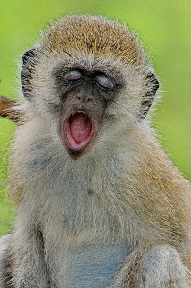 Photograph by Lev Prilutsky