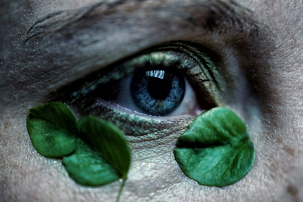 Photograph by Анастасия Като