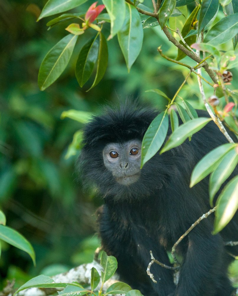 Photograph by Endra Agust