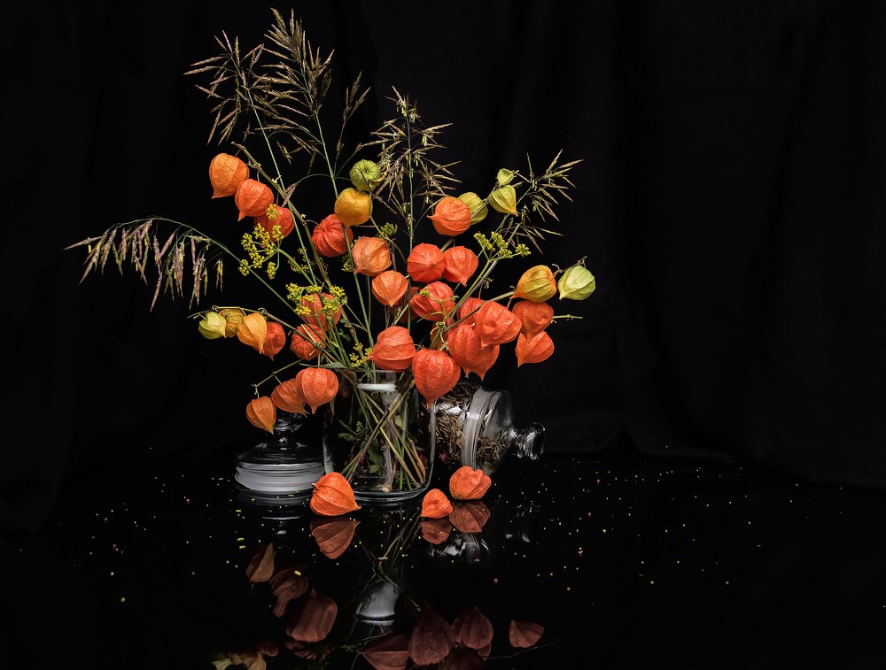 Натюрморт с физалисом.