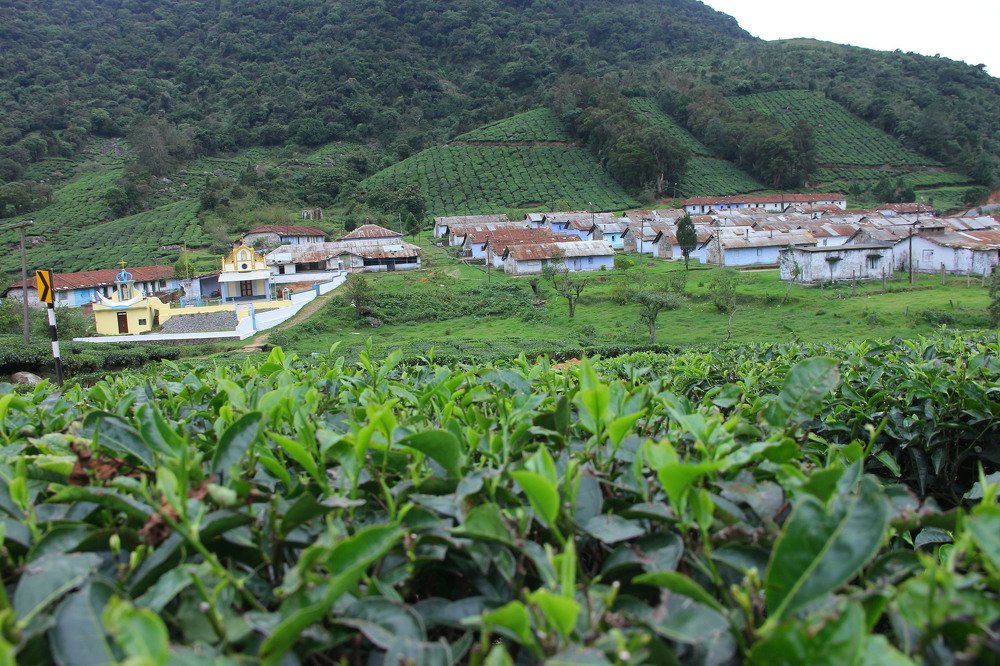 Photograph by SIVAMOORTHY VELMURUGAN