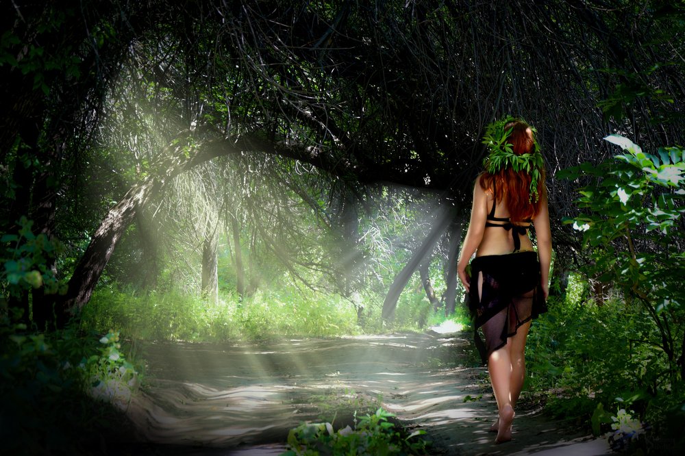 Girl druid wading through the forest.