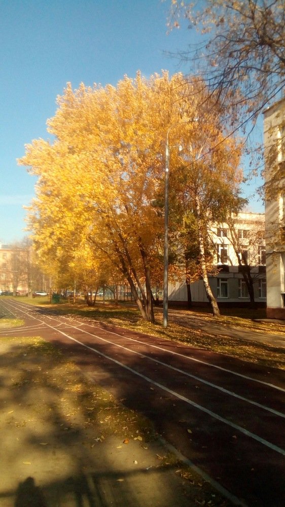Фотография автора Аркадий Коновалов