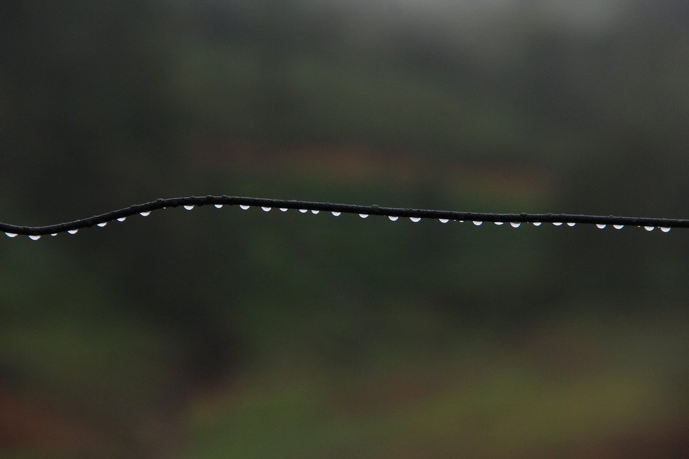 Photograph by SIVAMOORTHY VELMURUGAN