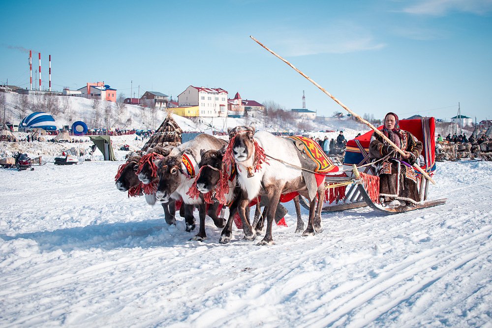 Photograph by Александр Шипов