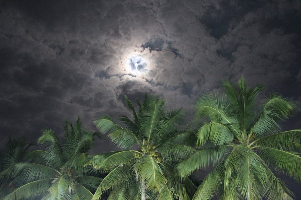 Photograph by SIVAMOORTHY VELMURUGAN