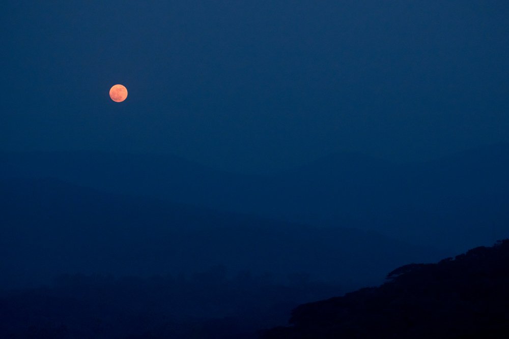 Blood Moon Rise!