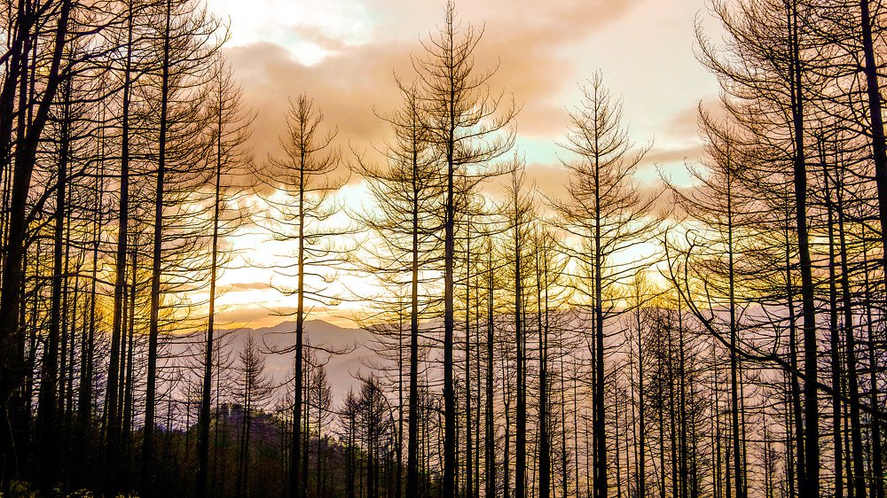 Photograph by Philbert Chogyel