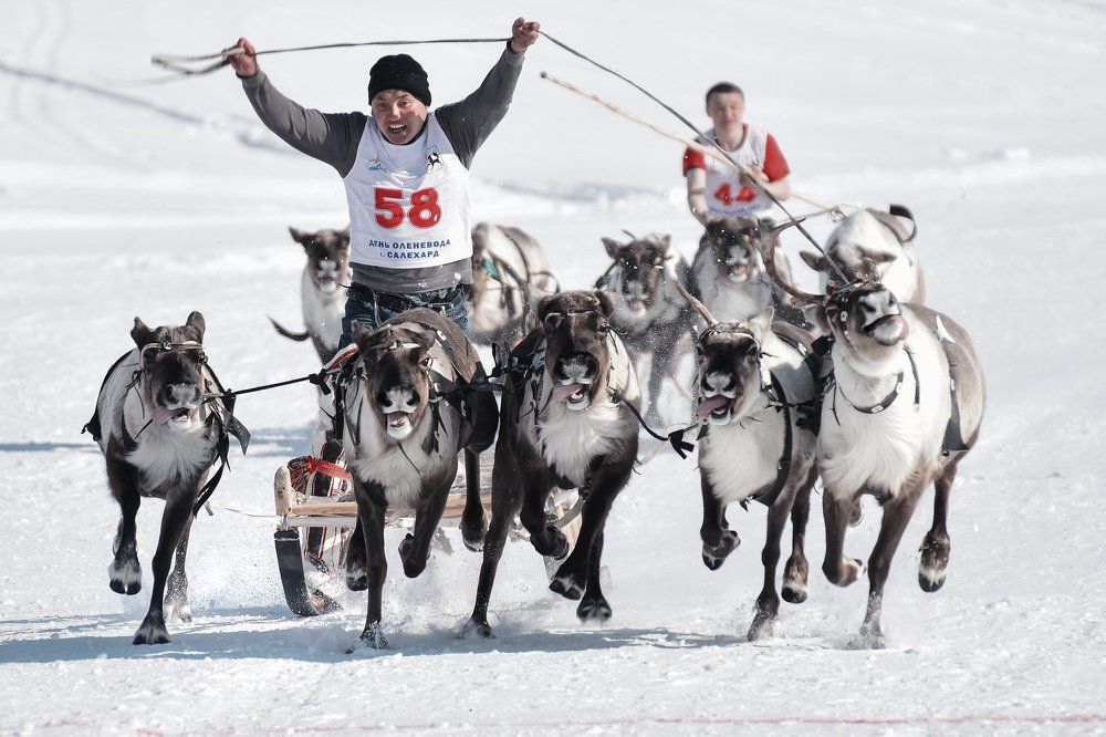 Photograph by Александр Шипов