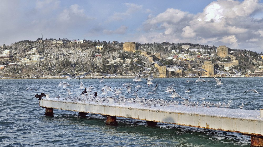 Photograph by Bekir Yesiltas