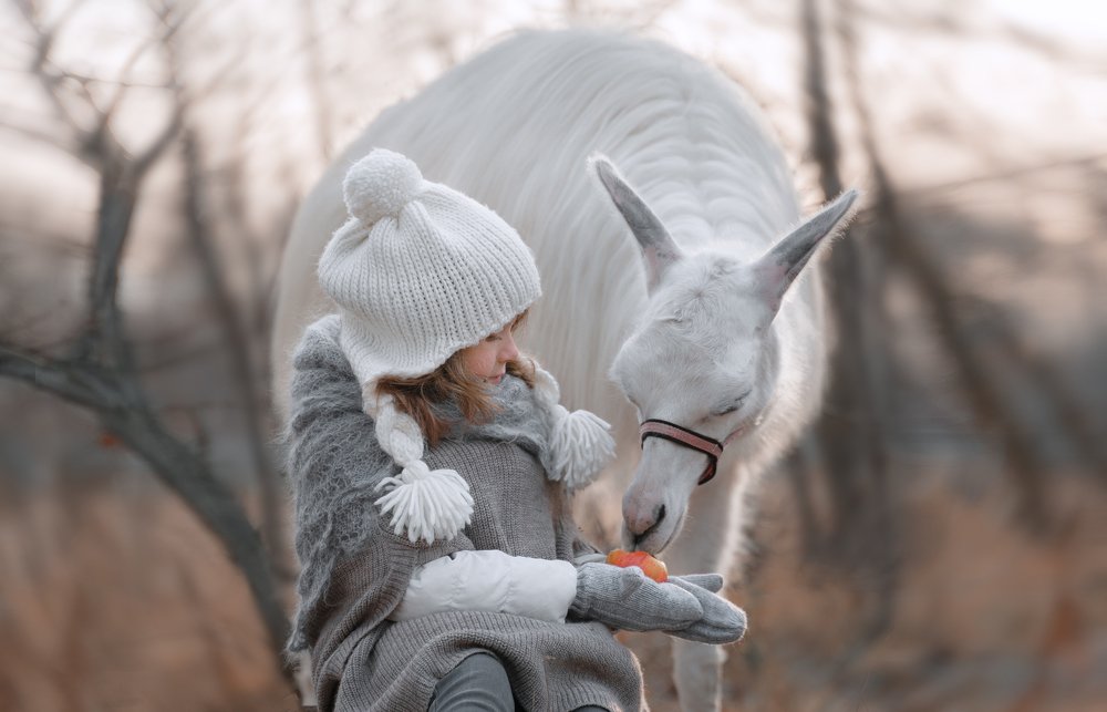 Photograph by Екатерина Айрис