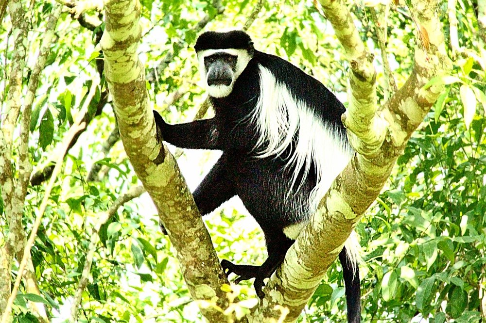 Photograph by Debbie Strauss