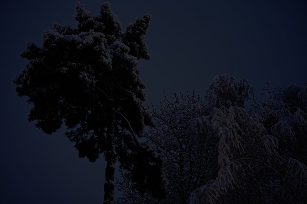 Зимняя ночь